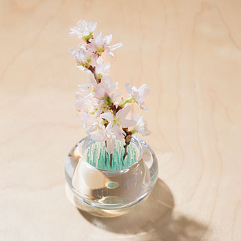 vaso per fiori in vetro elegante